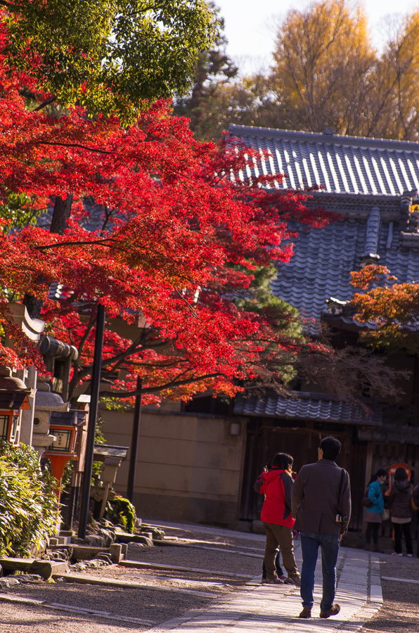 IMGP8444.jpg(632073 byte)