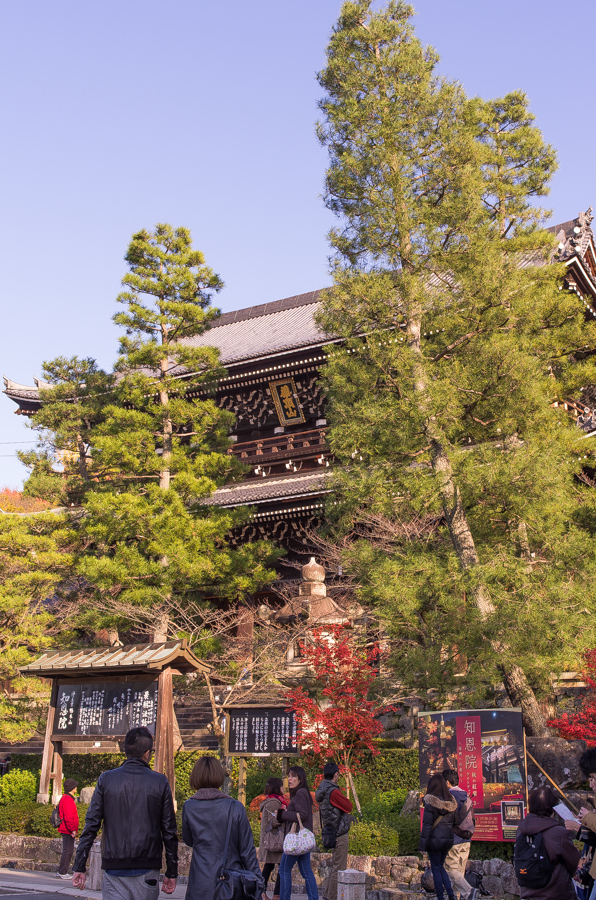 IMGP8472.jpg(580015 byte)