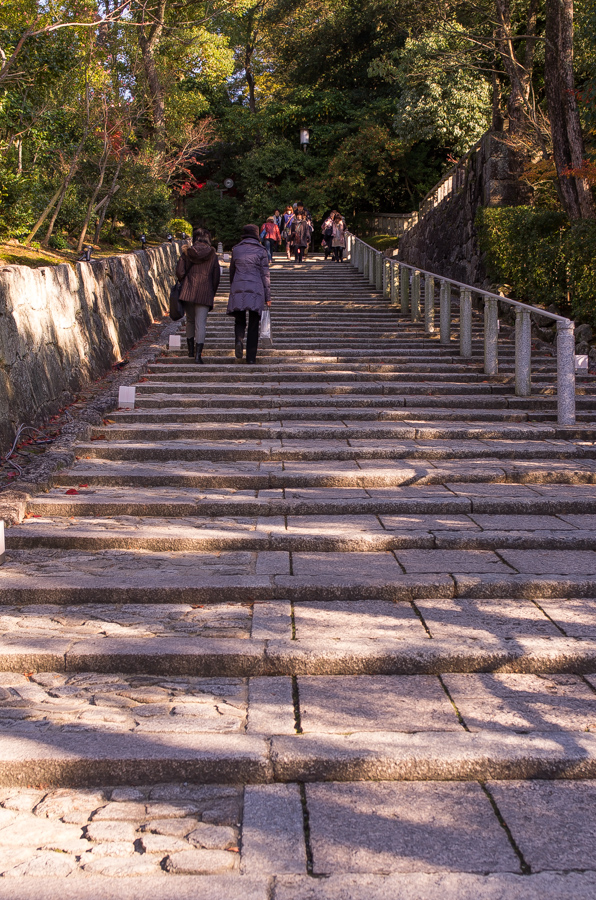 IMGP8474.jpg(567189 byte)