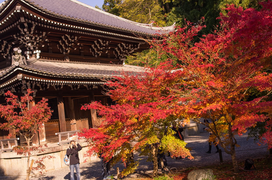 IMGP8484.jpg(721263 byte)