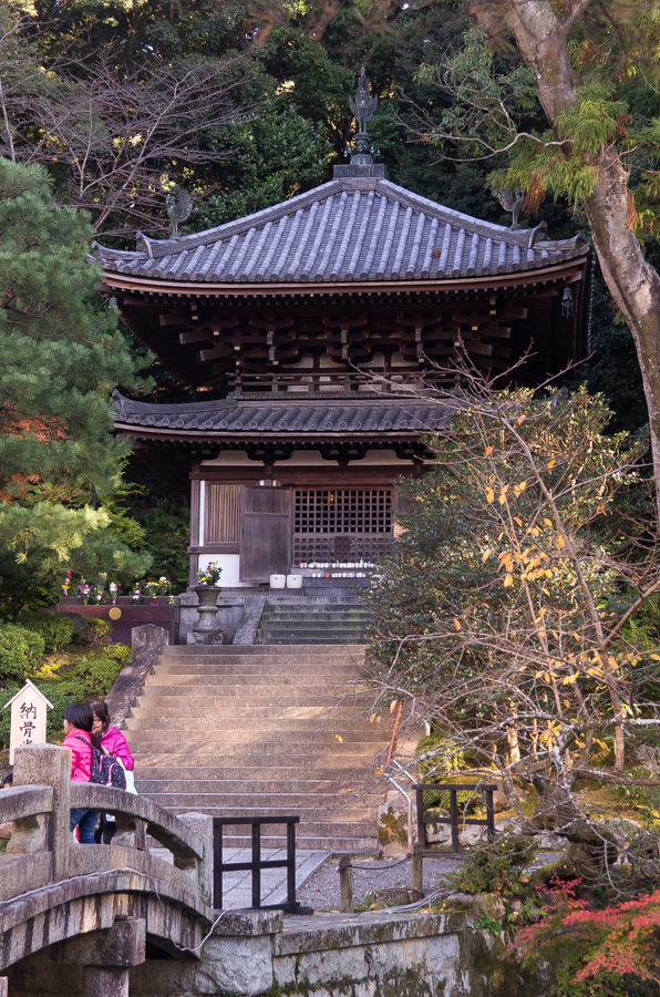 IMGP8488.jpg(570296 byte)