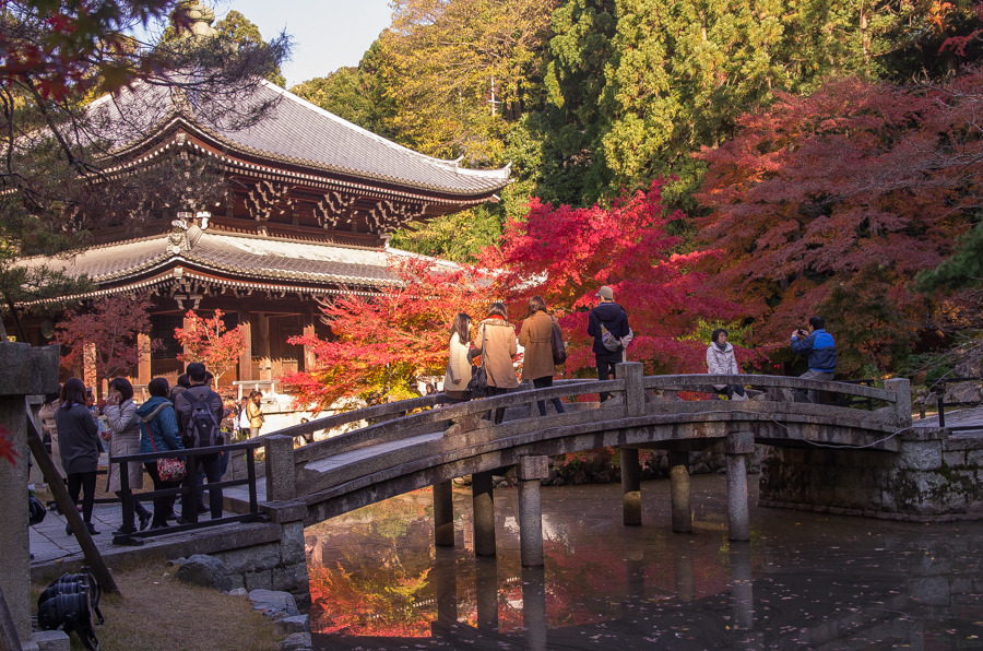 IMGP8494.jpg(591993 byte)