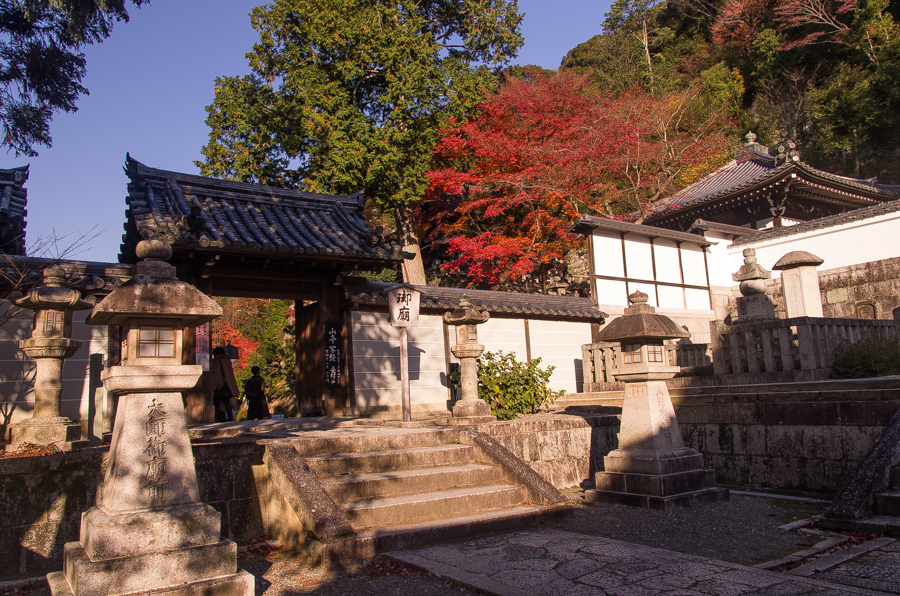 IMGP8500.jpg(560541 byte)