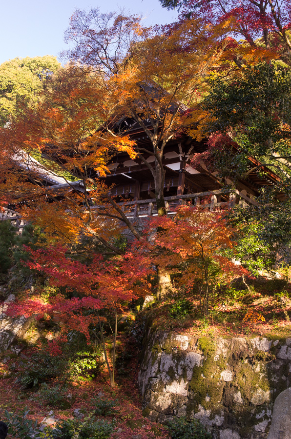 IMGP8505.jpg(719432 byte)