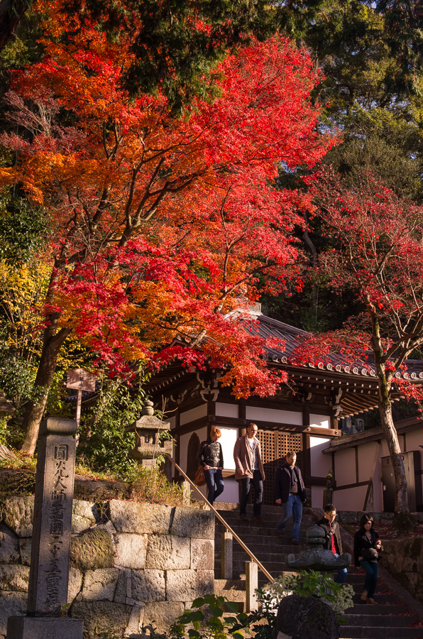 IMGP8506.jpg(736934 byte)