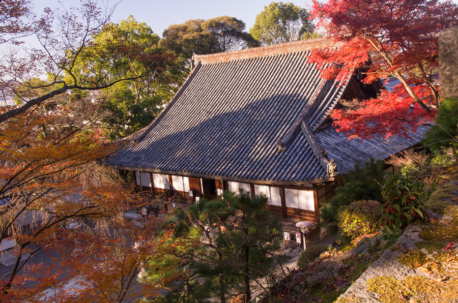 IMGP8526.jpg(698579 byte)