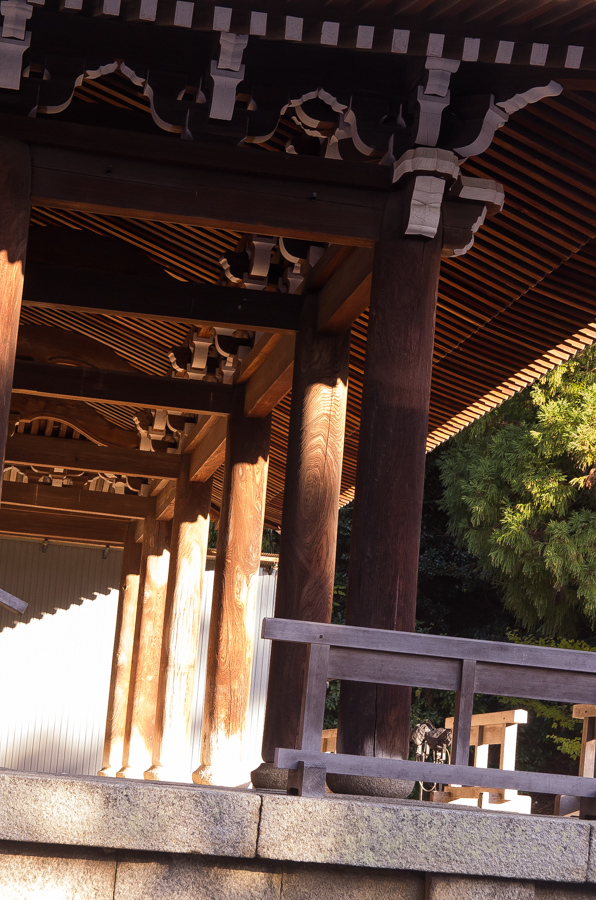 IMGP8555.jpg(408029 byte)