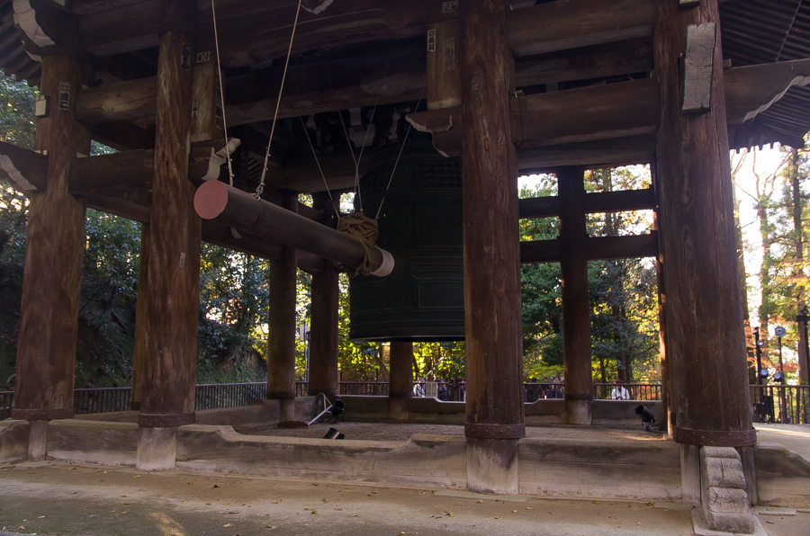 IMGP8565.jpg(370125 byte)