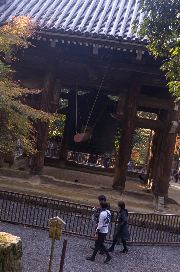 IMGP8569.jpg(443159 byte)