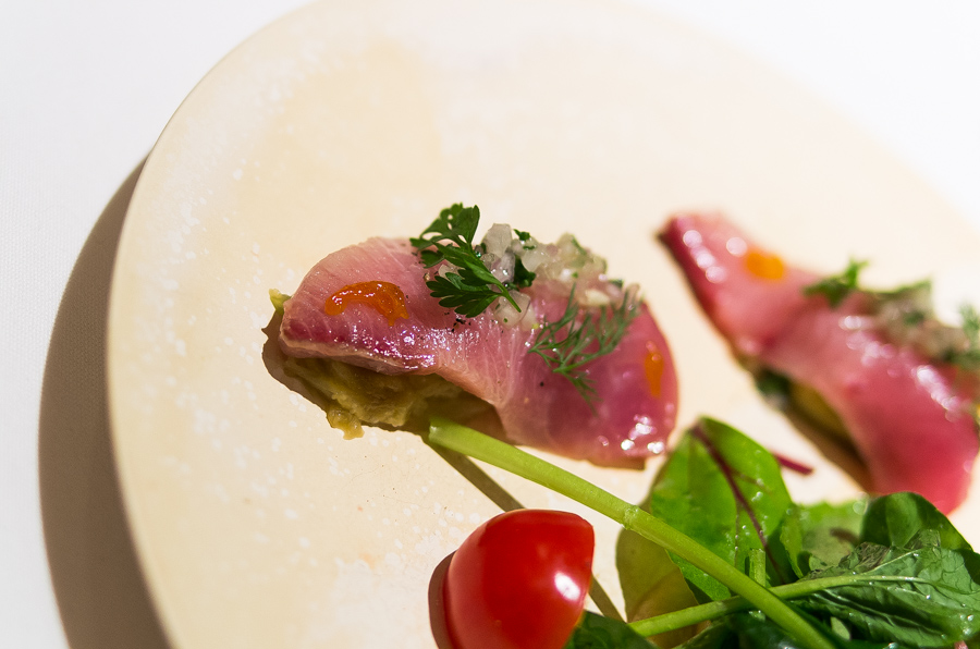 IMGP8613.jpg(242779 byte)