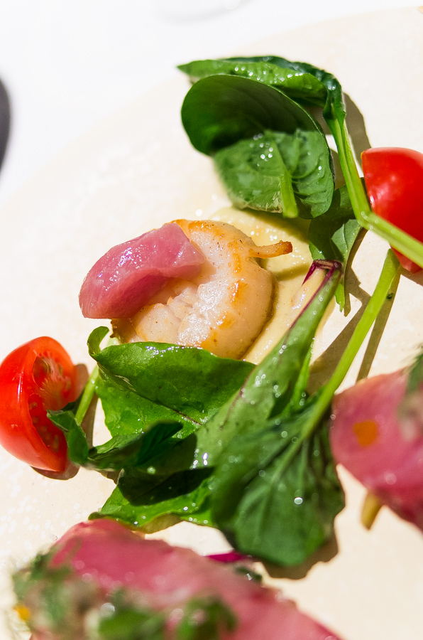 IMGP8620.jpg(306771 byte)