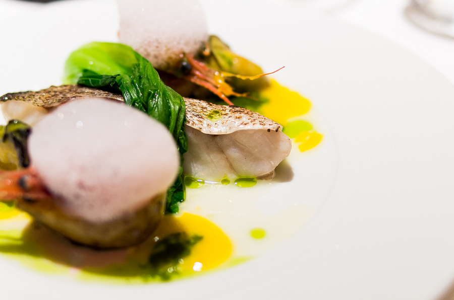 IMGP8656.jpg(202457 byte)