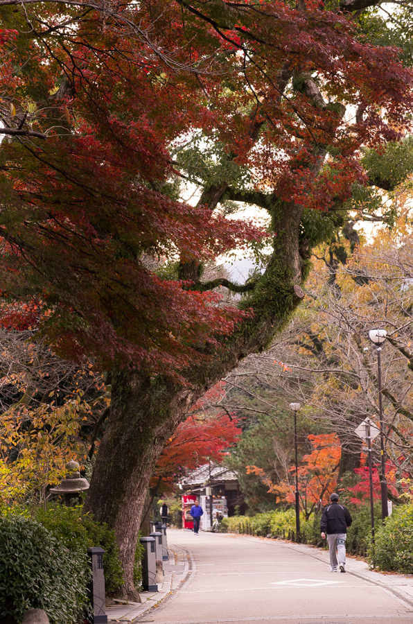 IMGP8732.jpg(635719 byte)