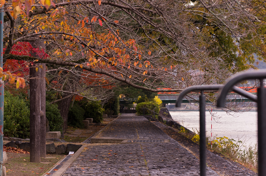 IMGP8743.jpg(606480 byte)