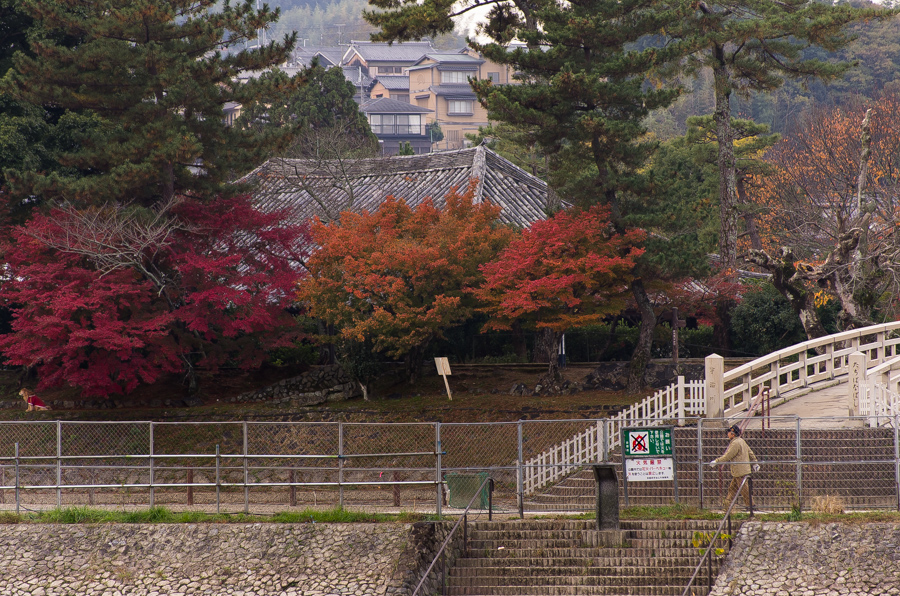 IMGP8747.jpg(559195 byte)