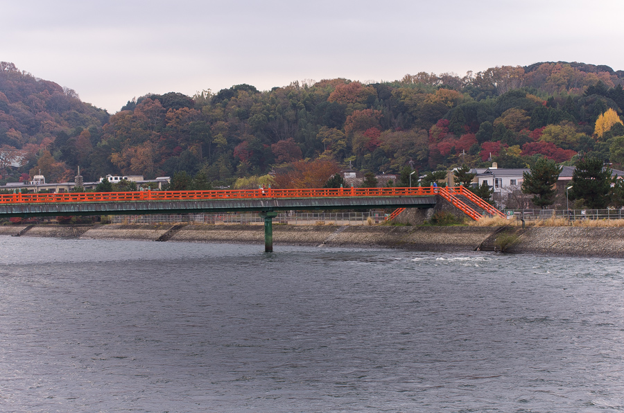 IMGP8751.jpg(397921 byte)