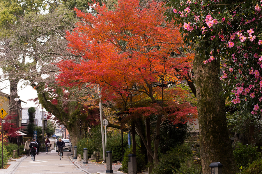 IMGP8756.jpg(657711 byte)