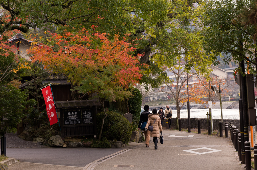 IMGP8759.jpg(607683 byte)