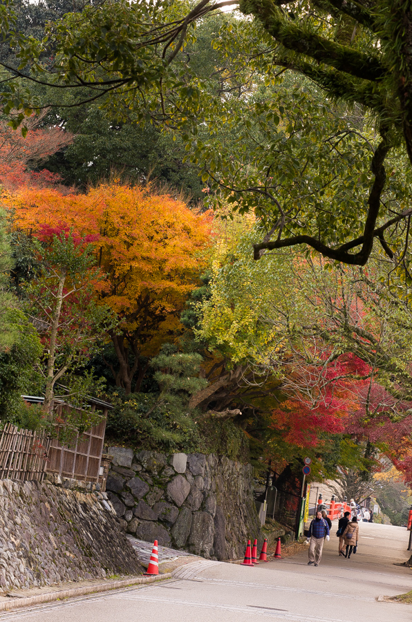 IMGP8770.jpg(652676 byte)