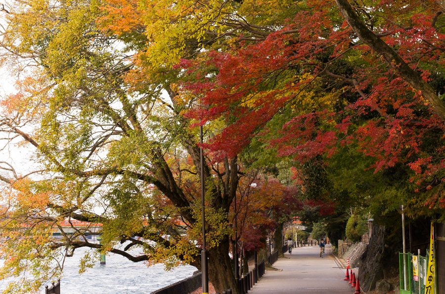 IMGP8783.jpg(740175 byte)