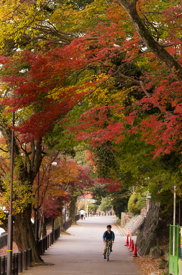 IMGP8788.jpg(681347 byte)