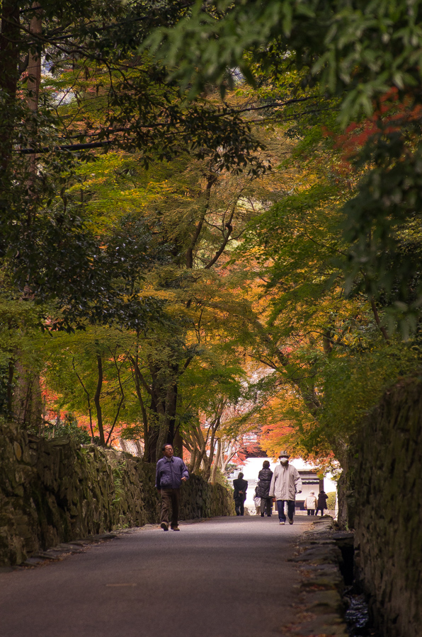 IMGP8815.jpg(518315 byte)