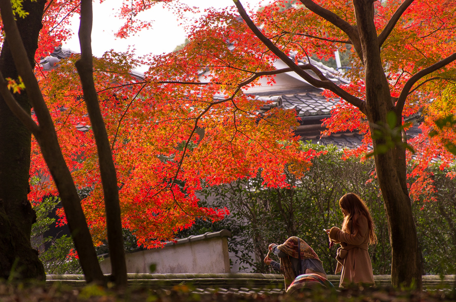 IMGP8819.jpg(685523 byte)