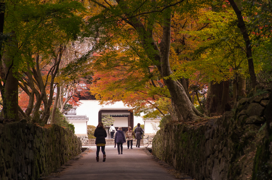 IMGP8836.jpg(541336 byte)