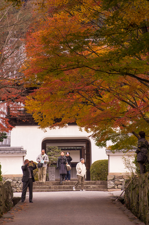 IMGP8844.jpg(630686 byte)