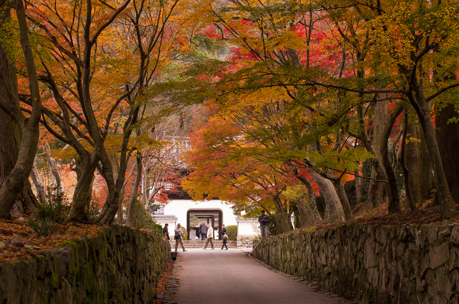 IMGP8845.jpg(671047 byte)