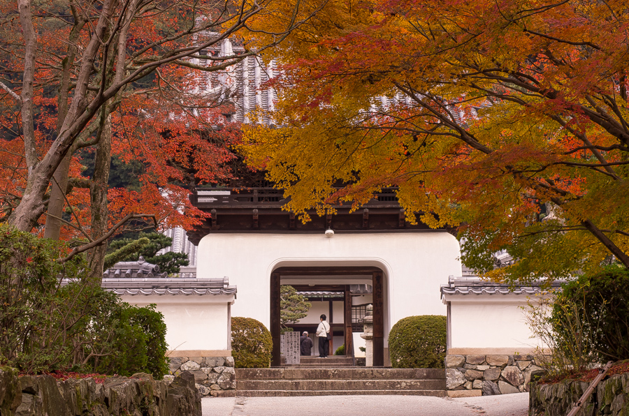 IMGP8852.jpg(653528 byte)