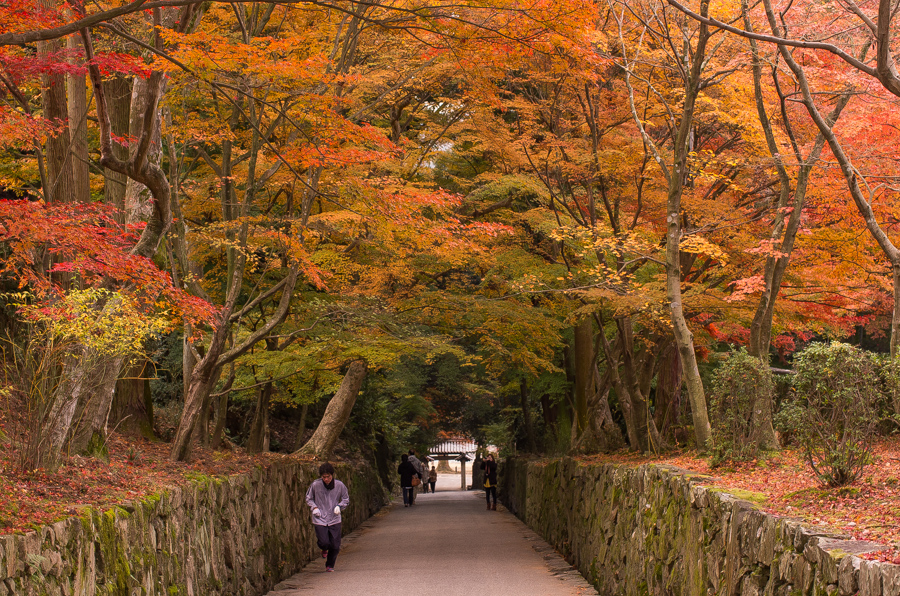 IMGP8856.jpg(737135 byte)