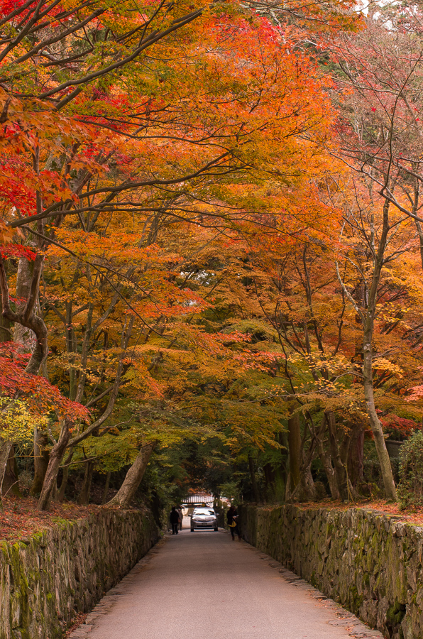 IMGP8859.jpg(745126 byte)