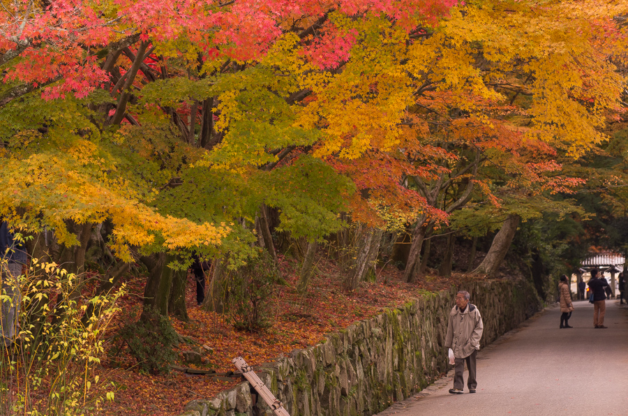 IMGP8874.jpg(670318 byte)