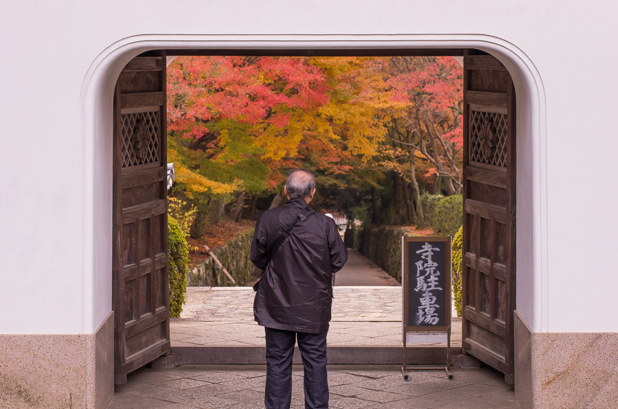 IMGP8876.jpg(355460 byte)