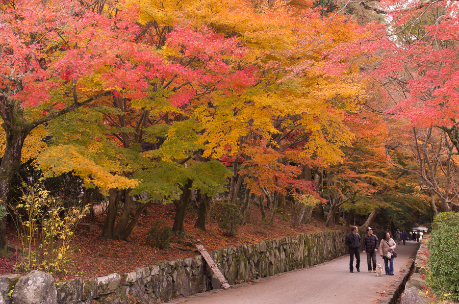 IMGP8891.jpg(711285 byte)