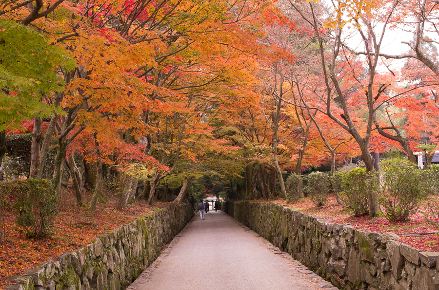 IMGP8900.jpg(709670 byte)