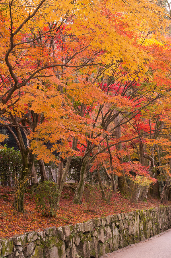 IMGP8905.jpg(784622 byte)