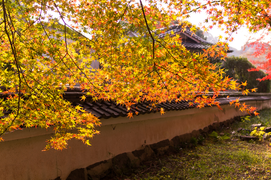 IMGP8925.jpg(742044 byte)