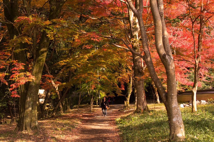 IMGP8928.jpg(766445 byte)