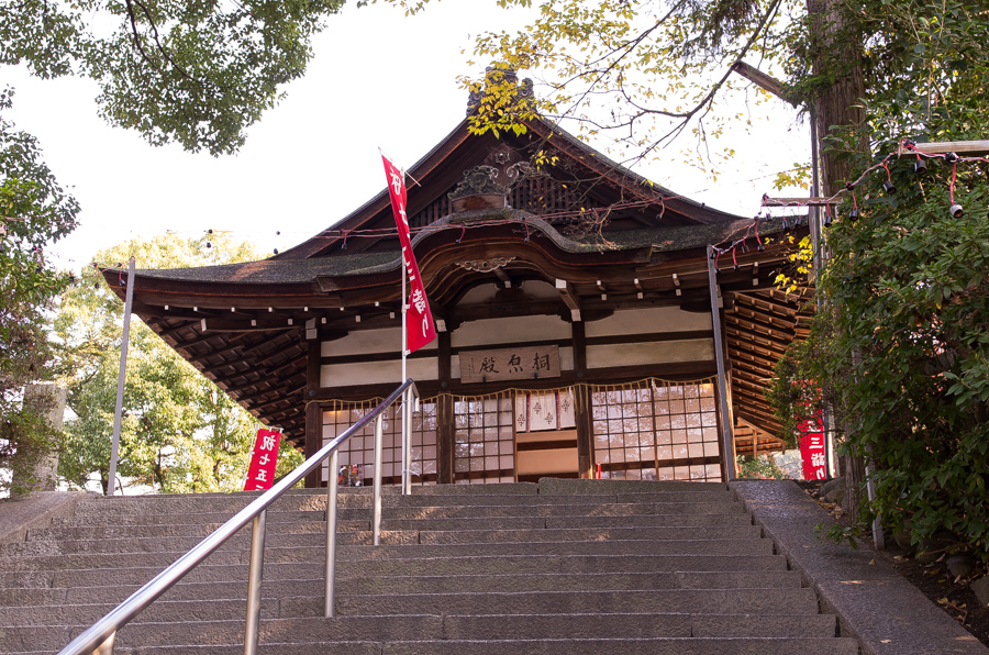 IMGP8949.jpg(546568 byte)