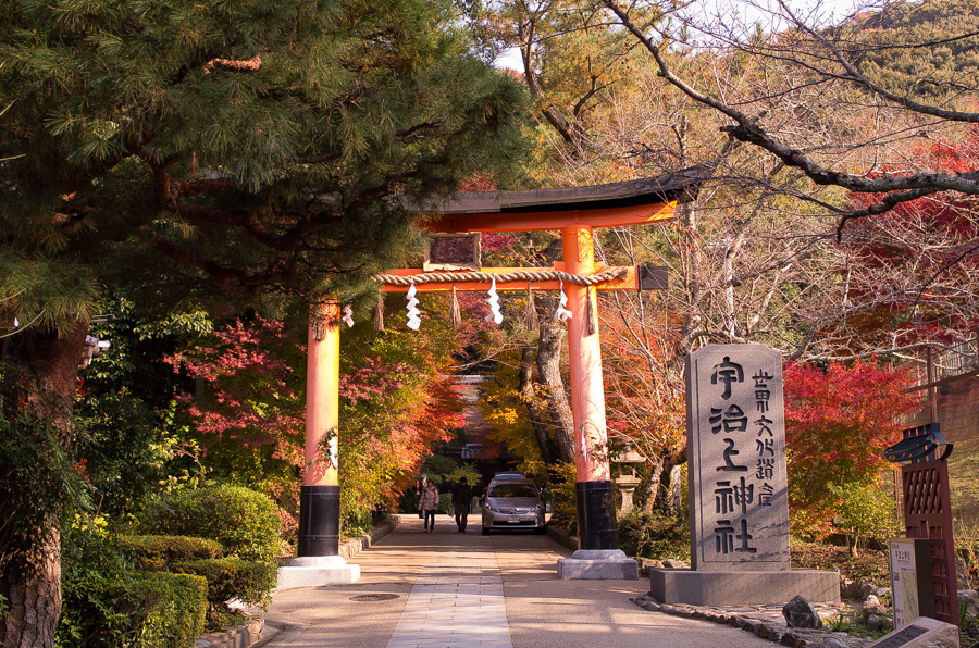 IMGP8952.jpg(673380 byte)