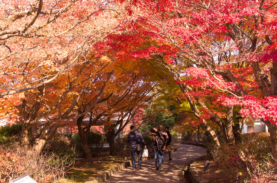 IMGP8964.jpg(838215 byte)