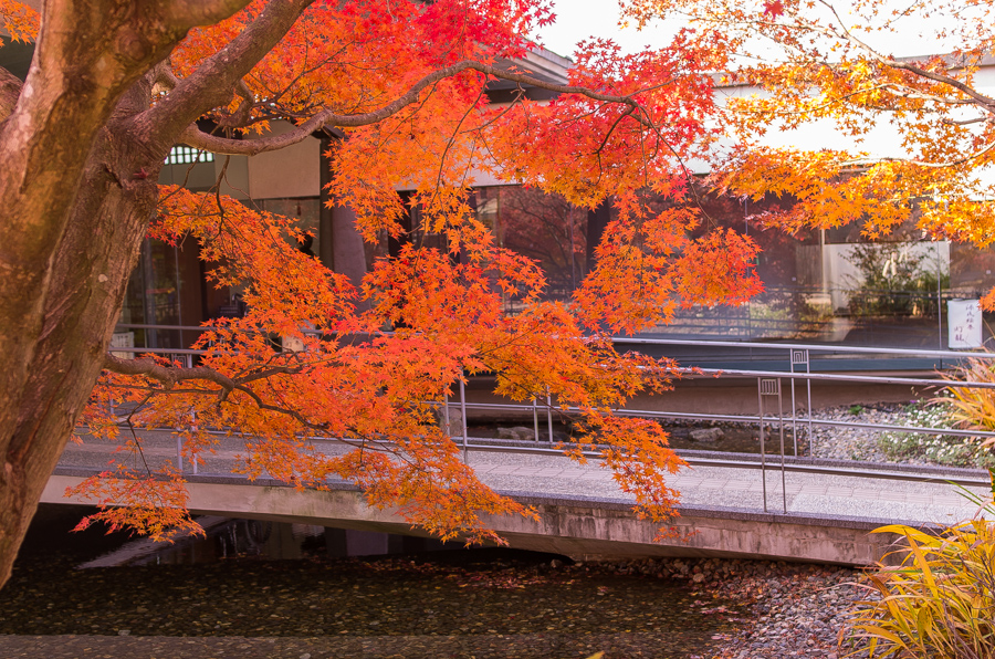 IMGP8987.jpg(682034 byte)