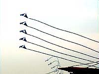 �E�H�[�^�[�J�[�j�o��