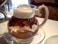 �n�[�u�e�B�[