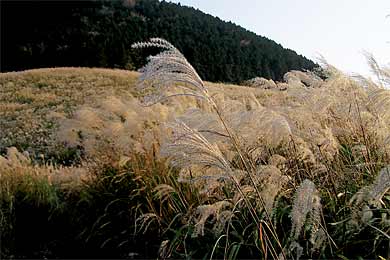 �������s