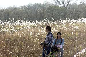 ���������ԉ�