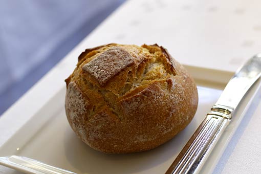 ���E�o�G�����^��