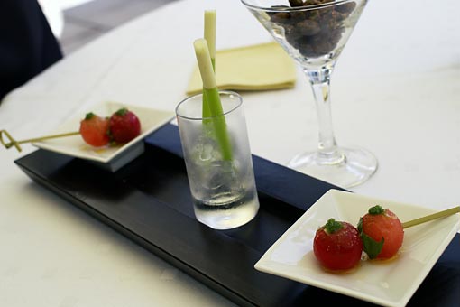 ���E�o�G�����^��